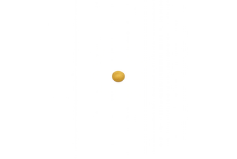 Schreibfeder Wüstenschreibtisch Eine türkise Feder mit goldenen Ornamenten im Kiel